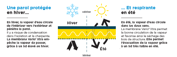 schéma membrane